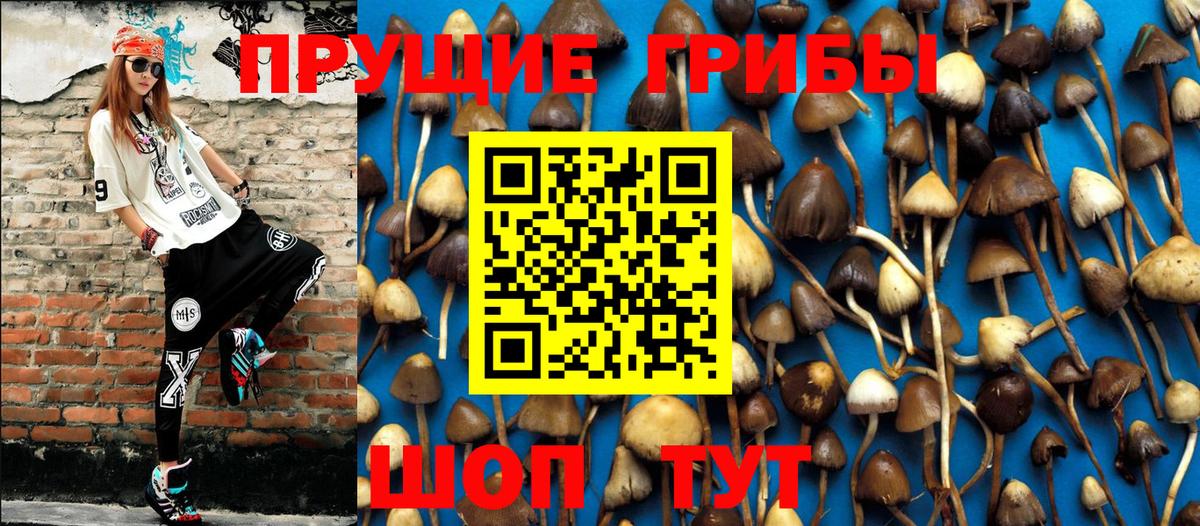 Псилоцибиновые грибы Psilocybine cubensis Сатка